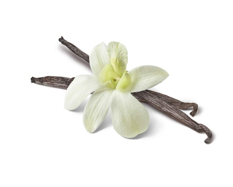 Vanilla