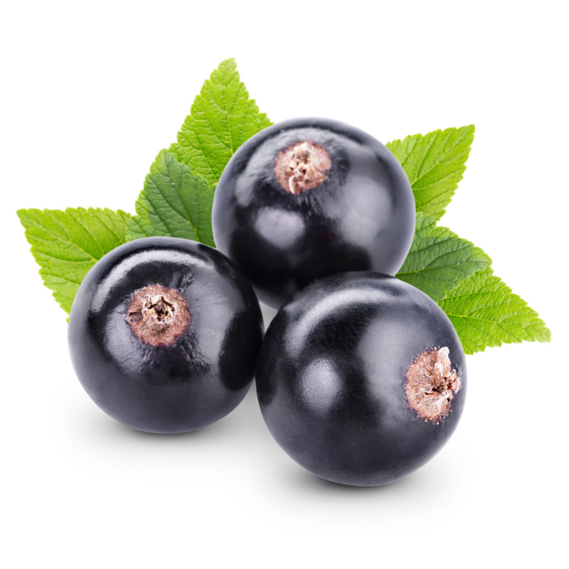 Blackcurrant